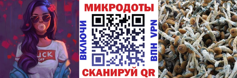 Псилоцибиновые грибы MAGIC MUSHROOMS  Шагонар 