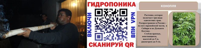Бошки марихуана Amnesia  Шагонар 